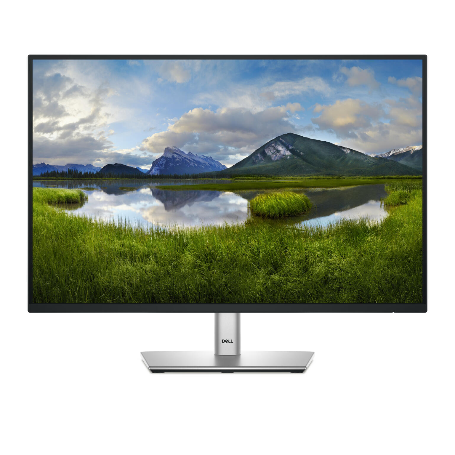 Dell P2425E monitor