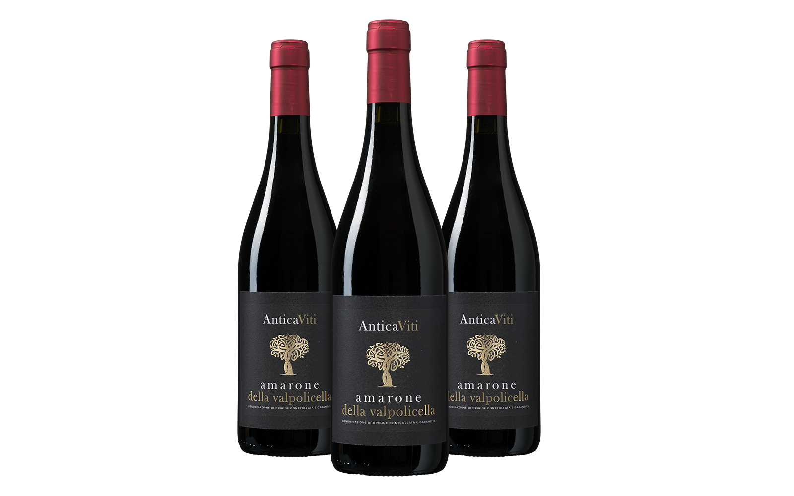 Wijnvoordeel Antica Viti Amarone della Valpolicella - Rood