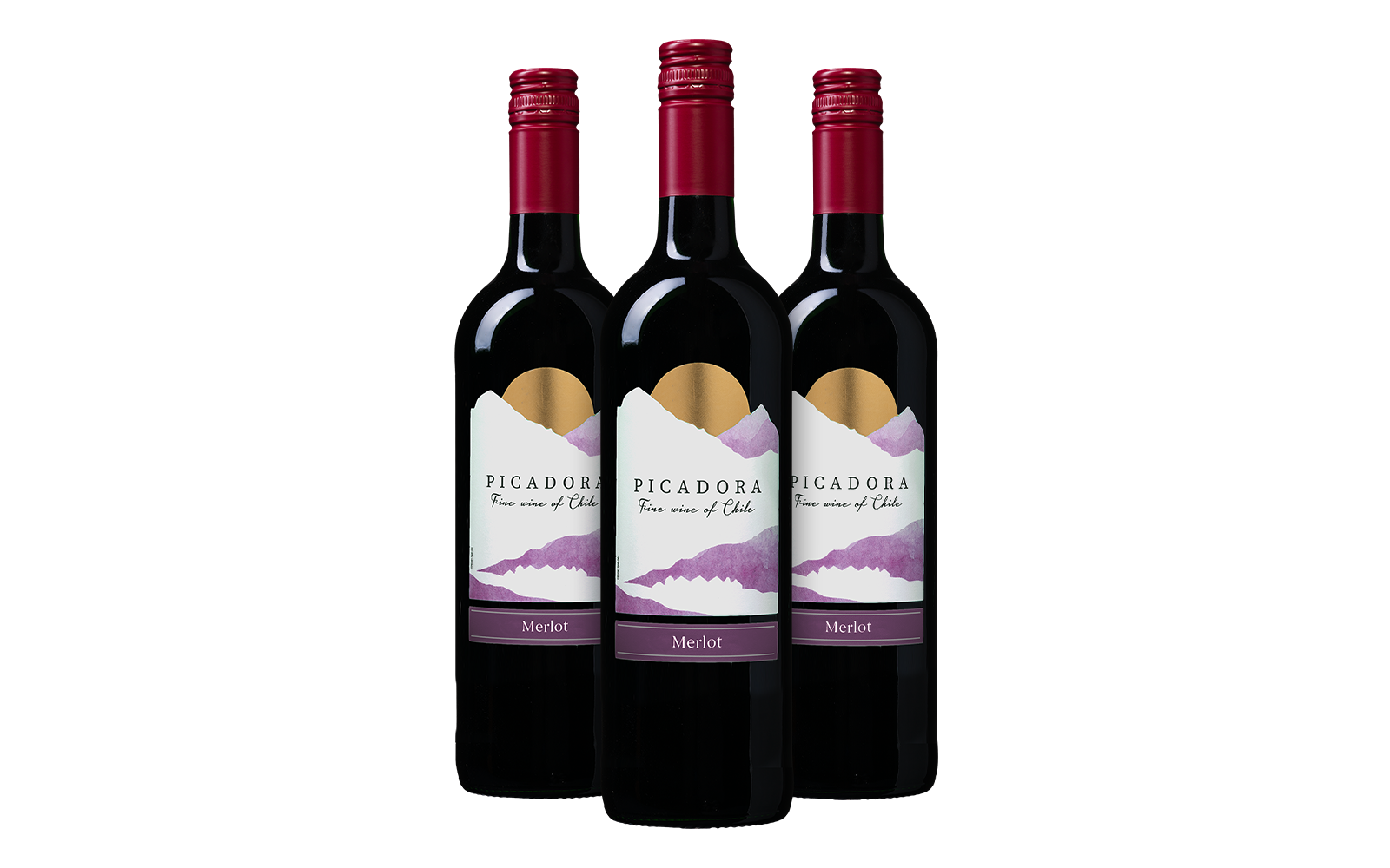 Wijnvoordeel Picadora Merlot Probeerpakket (3 flessen) - Rood