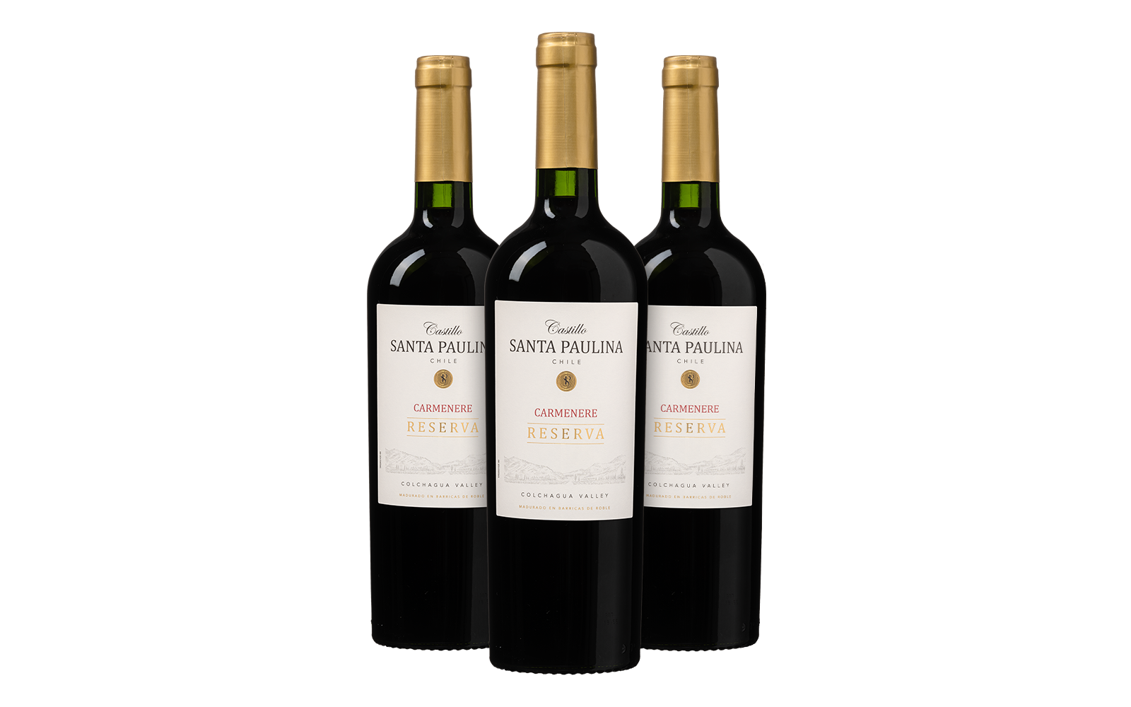 Wijnvoordeel Castillo Santa Paulina Carmenère Reserva Probeerpakket (3 flessen) - Rood