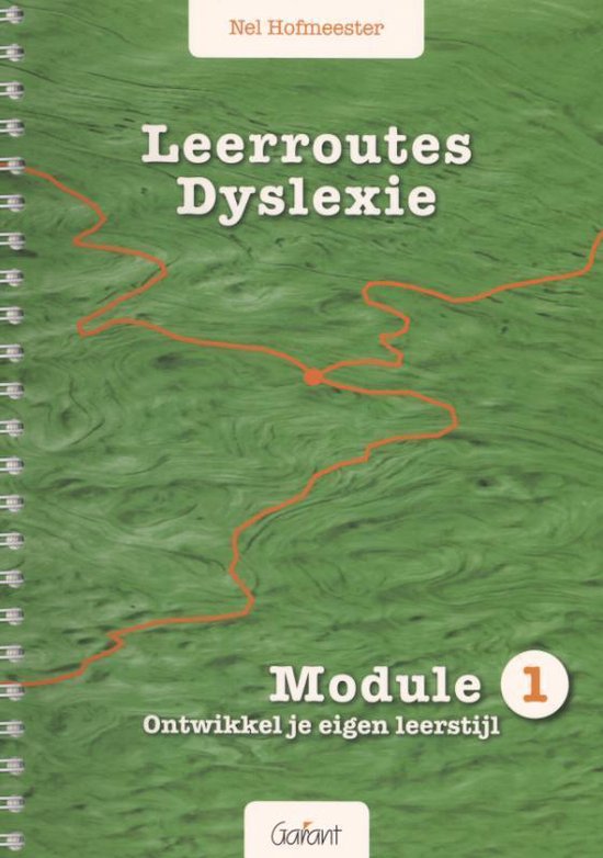 Leerroutes dyslexie