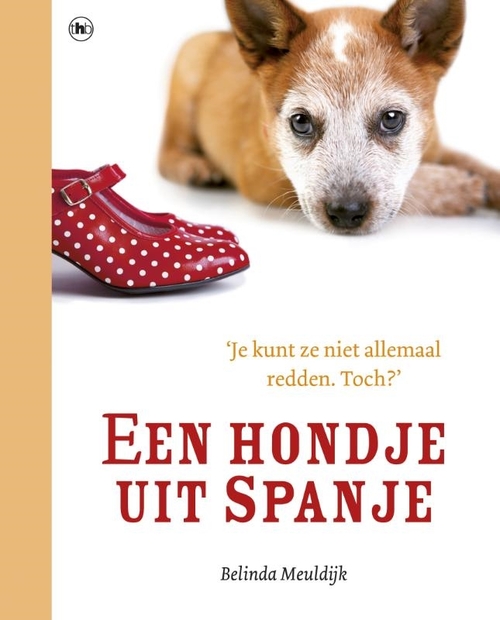 The House Of Books Een hondje uit Spanje