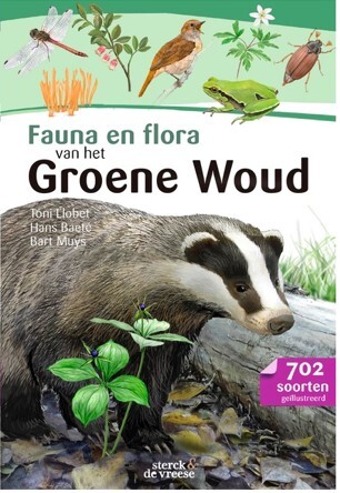 Fauna en flora van hete Woud - Groen