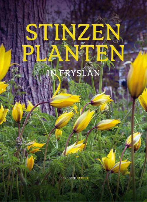 Uitgeverij Noordboek Stinzenplanten in Fryslân