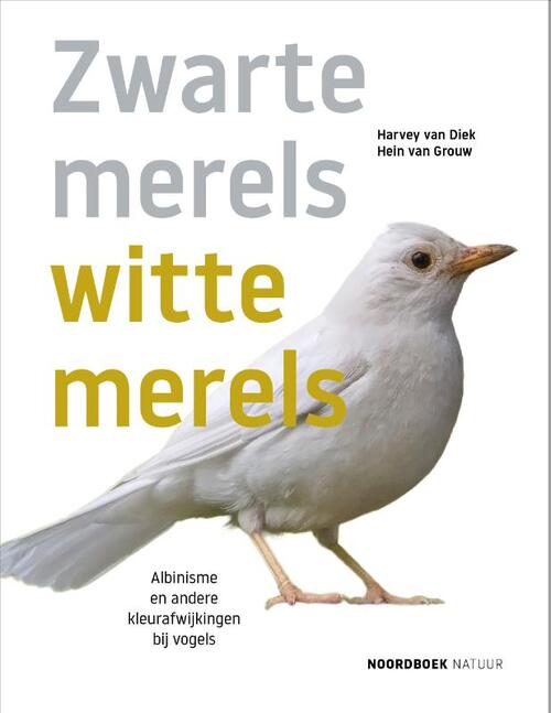 Uitgeverij Noordboek e merels, witte merels - Zwart