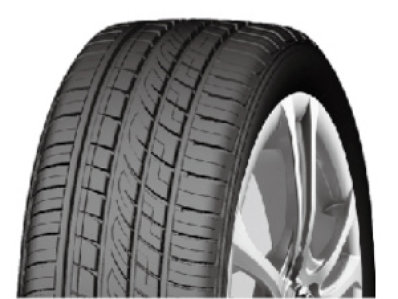 Fortune Fortune FSR-303 ( 255/45 R20 105Y XL ) - Zwart