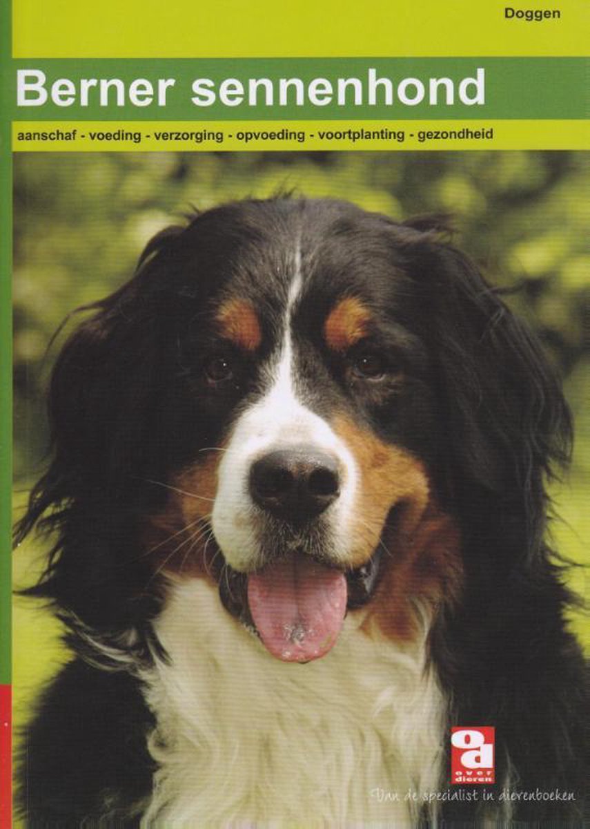 Over Dieren - Berner Sennenhond