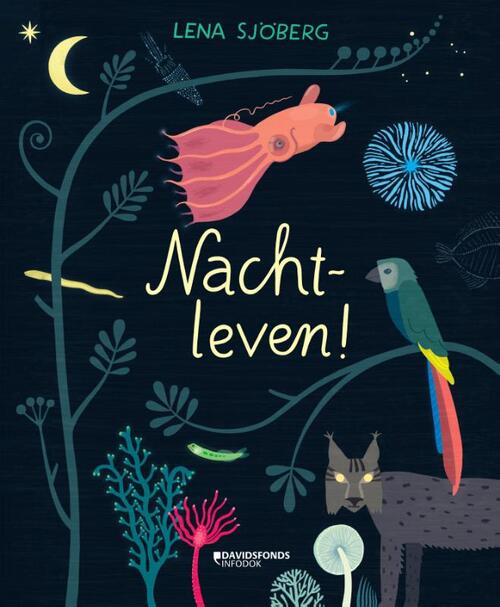 Davidsfonds Nachtleven!