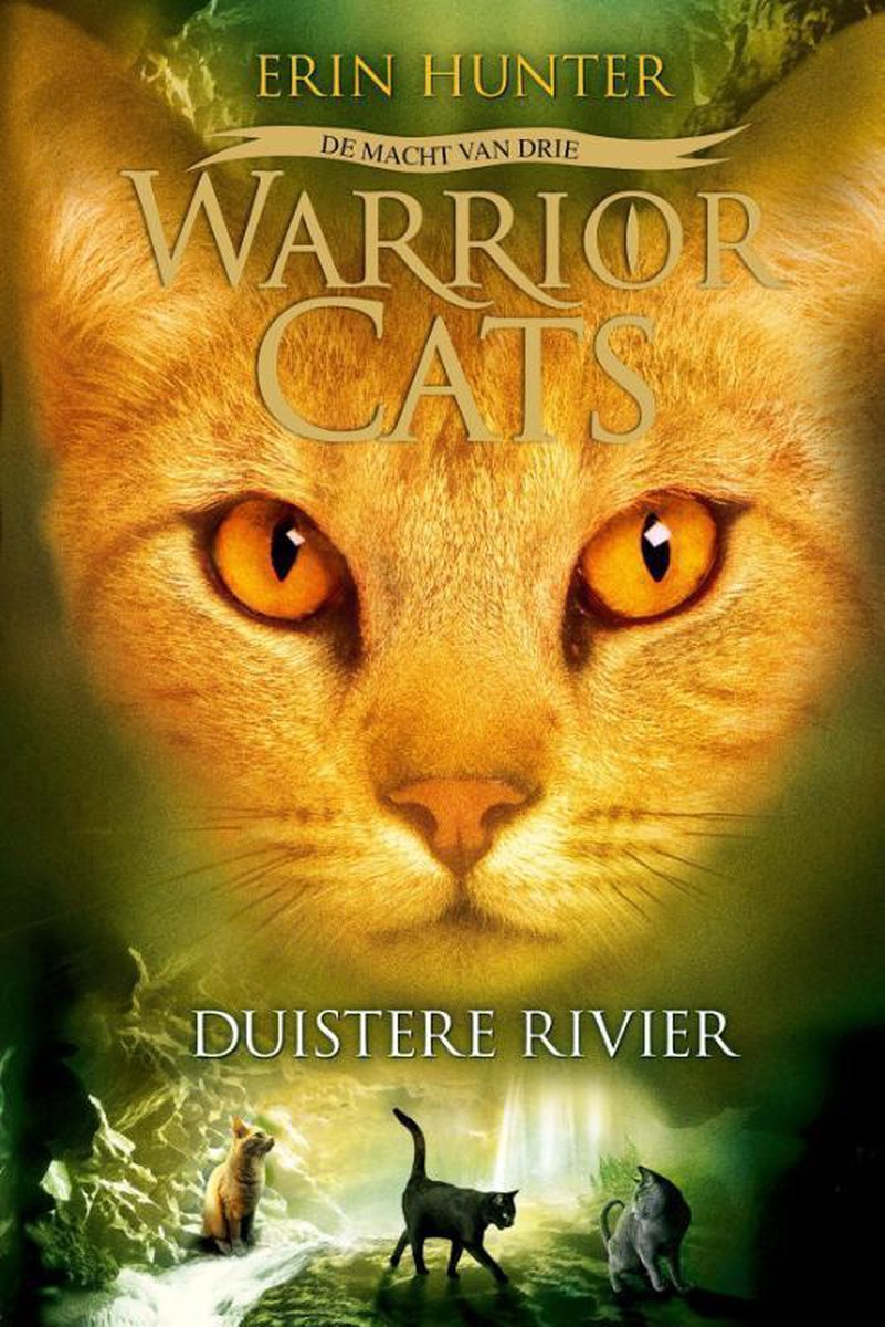 Warrior Cats, De Macht van drie 2 - Duistere Rivier