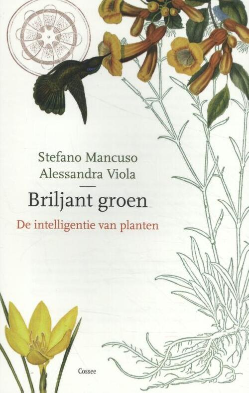 Cossee, Uitgeverij Briljant groen