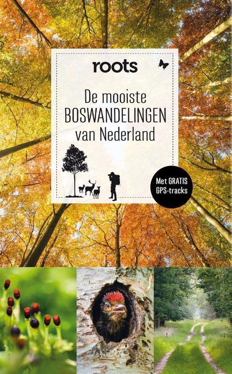 Fontaine Uitgevers De mooiste boswandelingen van Nederland