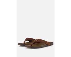 Reef - J-bay Iii - Bruin