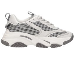 Steve Madden - Jpossesion - Grijs