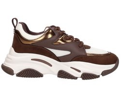 Steve Madden - Jprogressive