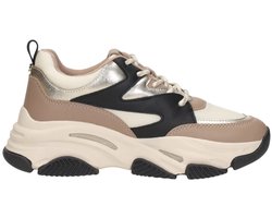 Steve Madden - Jprogressive