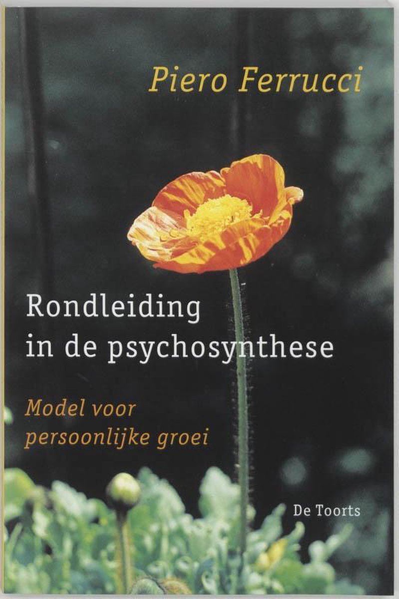 Toorts, Uitgeverij, De Rondleiding in de psychosynthese