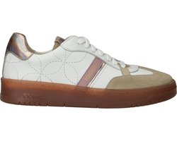 Iqonic - Wish Legacy