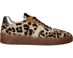 Iqonic - Wish Legacy