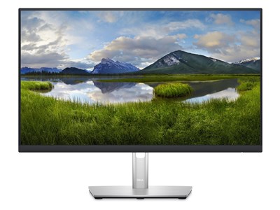 Dell DELL P Series P2423D - 23.8"