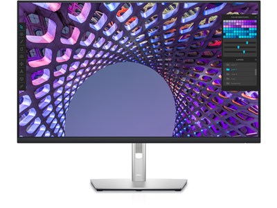 Dell DELL P Series P3223QE - 31.5"
