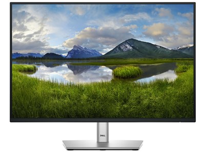 Dell DELL P2425 - 24.1"