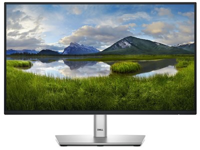 Dell DELL P2225H - 21.5"