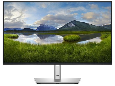 Dell DELL P2425HE - 23,8"
