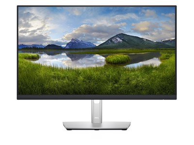 Dell DELL P2422H - 23.8"