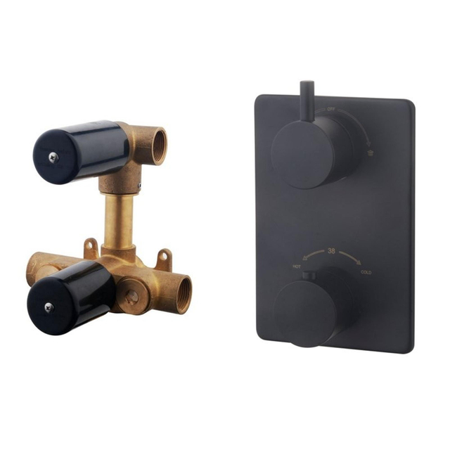 Wiesbaden Wiesbaden Caral thermostatische inbouwdouchekraan met 2 functies omstel mat zwart sw62490/SW158719