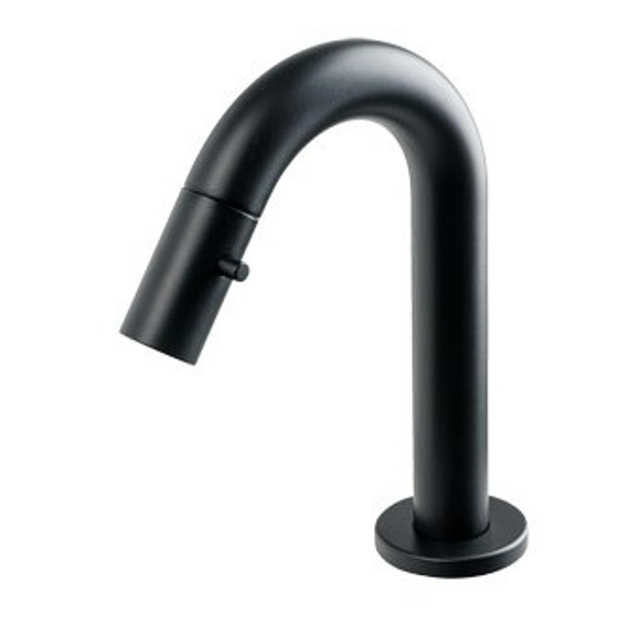 Plieger Plieger Lupo 2.0 toiletkraan mat zwart 4333090 B