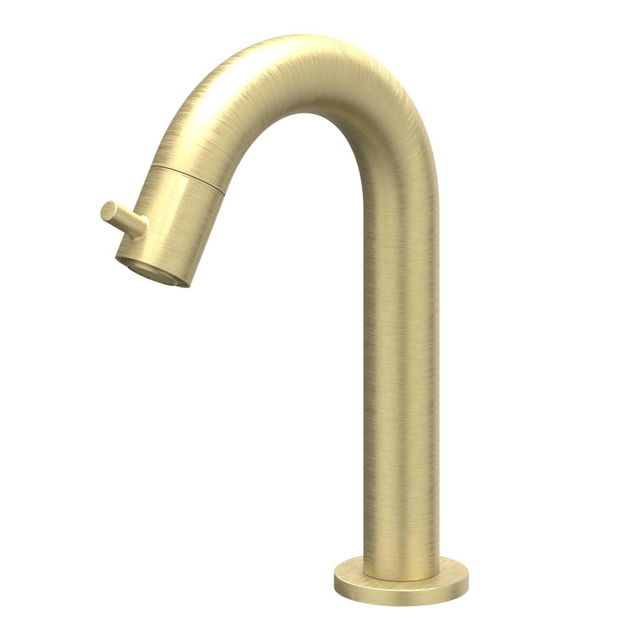 IVY Bond Fonteinkraan - gebogen - opbouw - laag - Geborsteld mat goud PVD 6401054