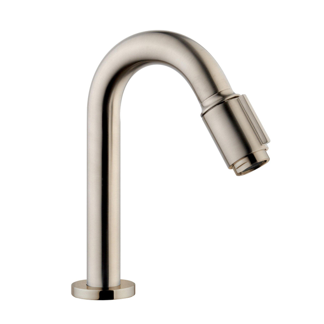 Wiesbaden Wiesbaden Victoria luxe fonteinkraan 1/2'' geborsteld staal 22.3731