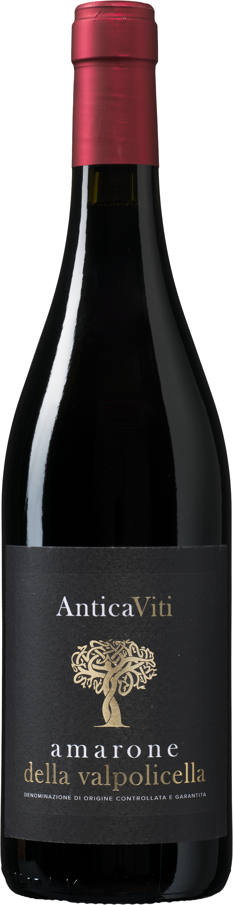 Wijnvoordeel 1 fles Antica Viti Amarone della Valpolicella - Rood