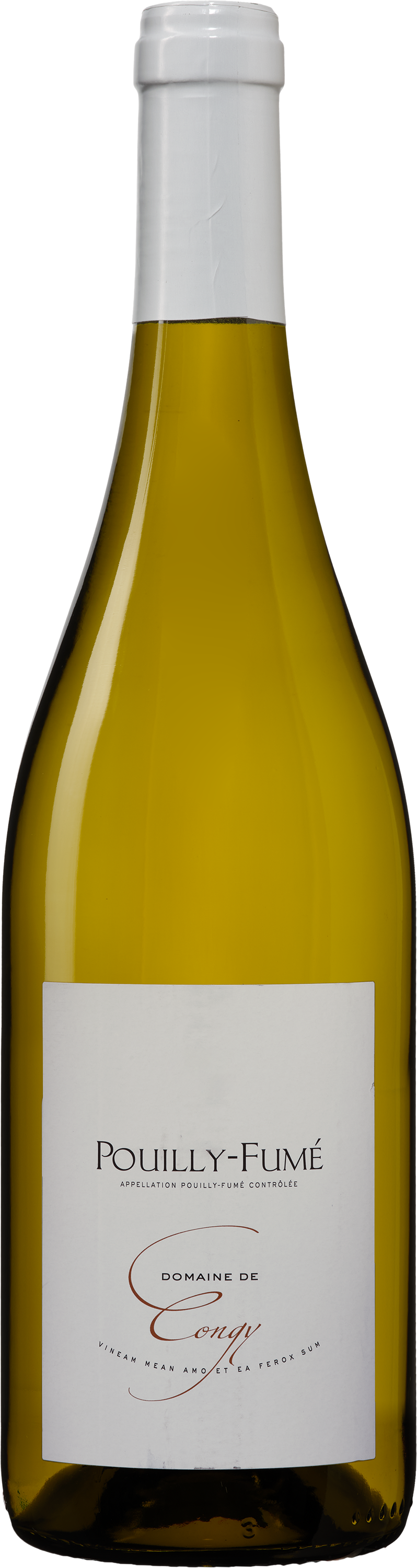 Wijnvoordeel Domaine de Congy Pouilly-Fumé