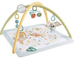 Fisher Price symply senses gym