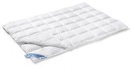 Vandyck Vandyck donzen dekbed 65 duo