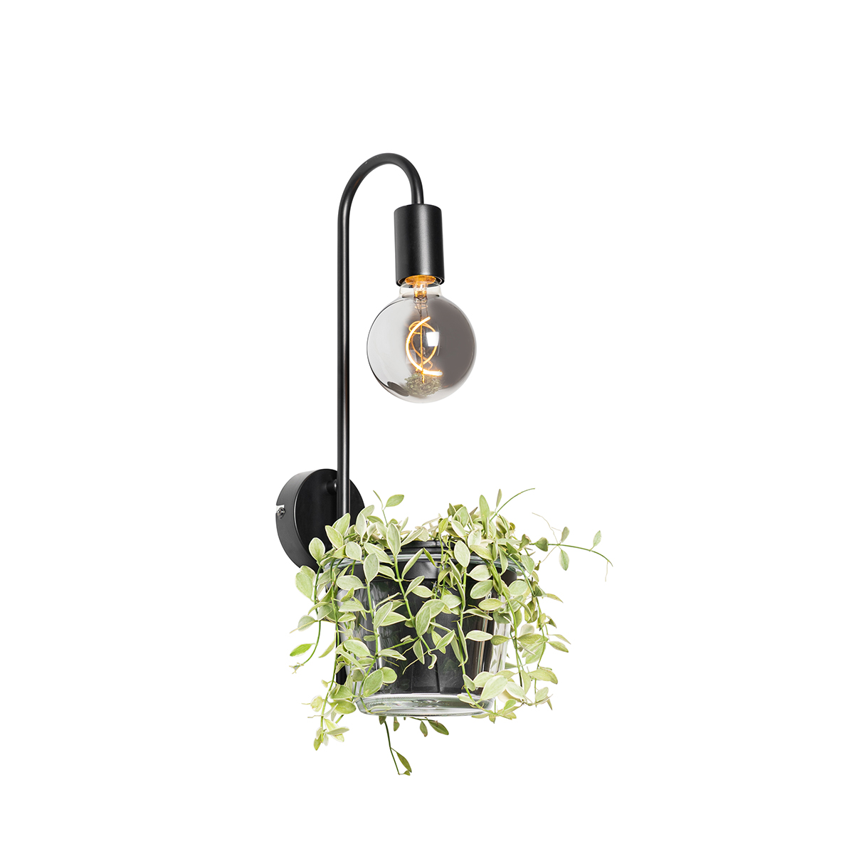 QAZQA Moderne wandlamp met glas - Roslini - Zwart