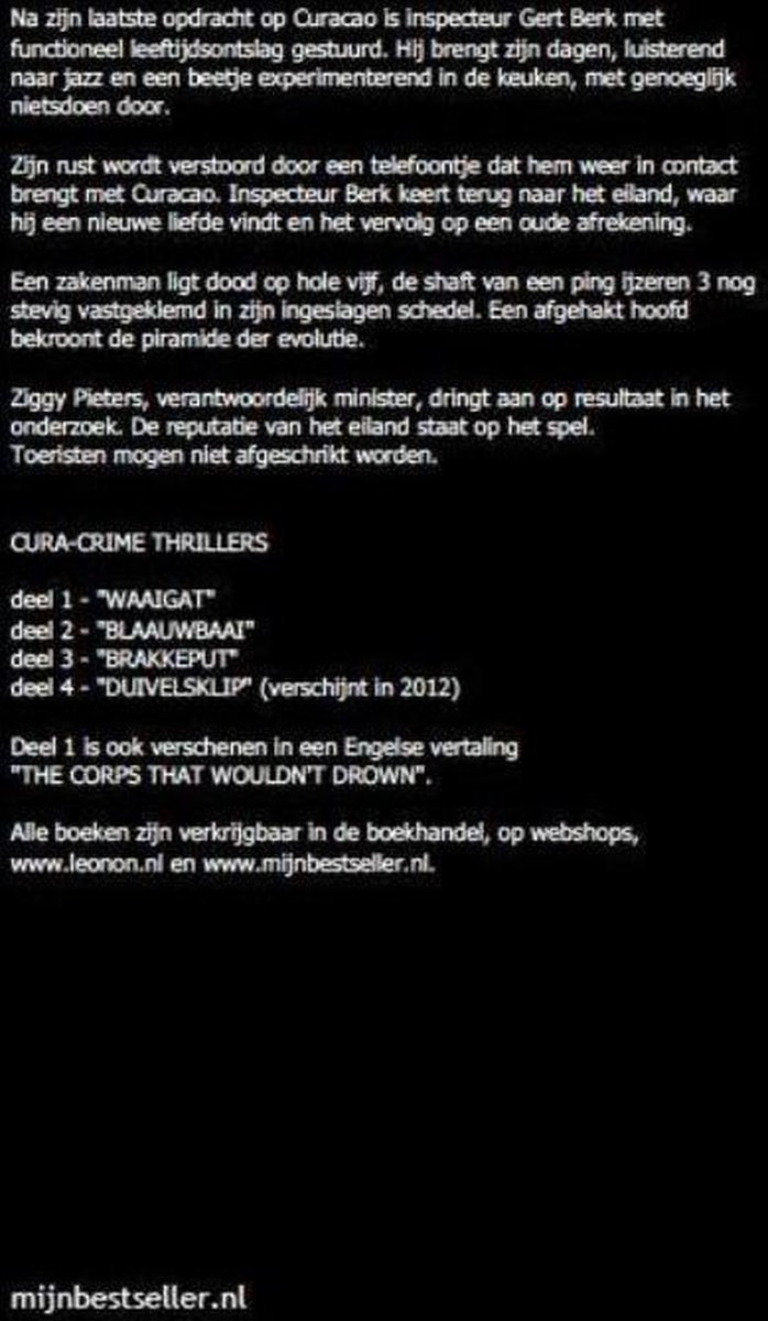 Leonon Media Blaauwbaai
