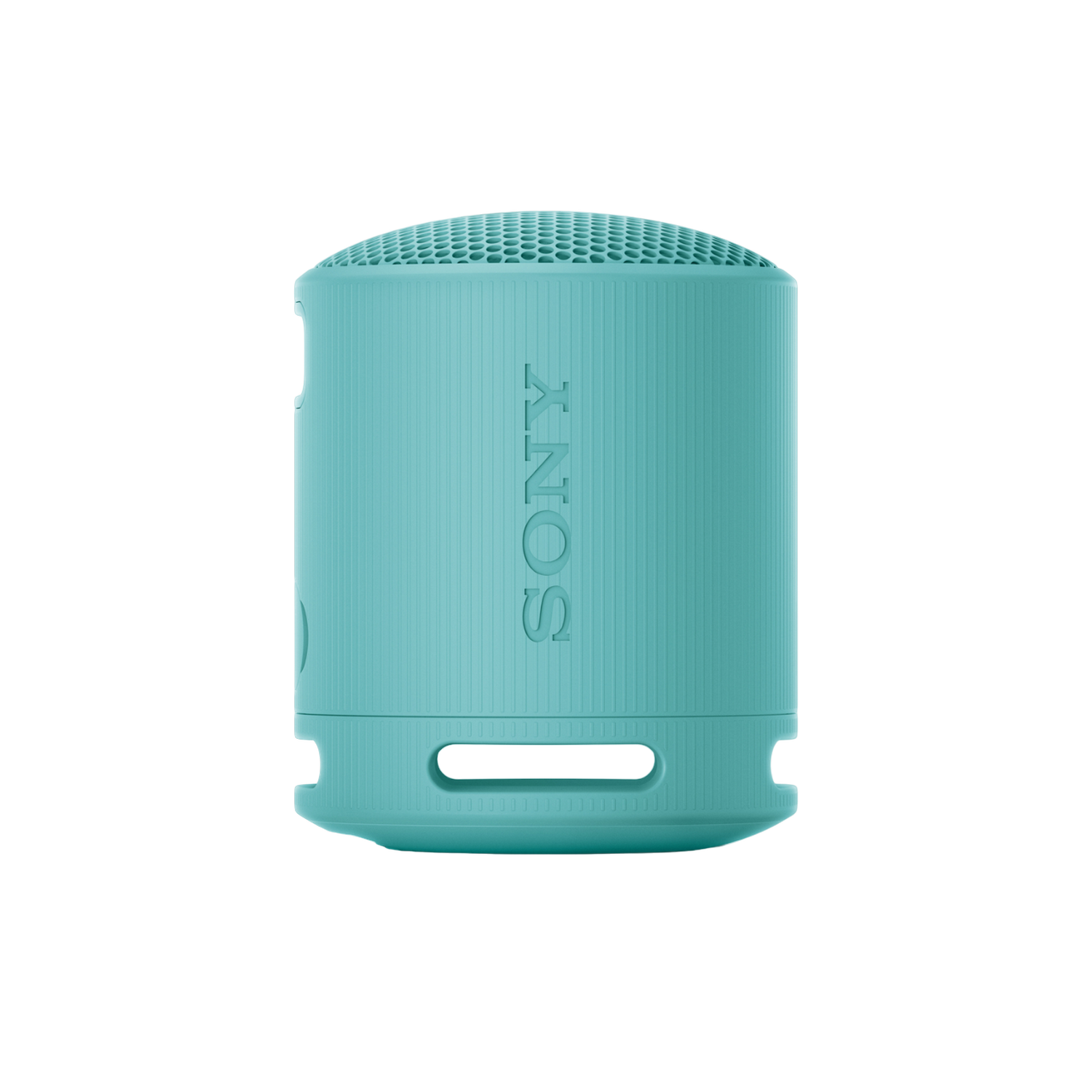 Sony Sony Srs-xb100 - Blauw