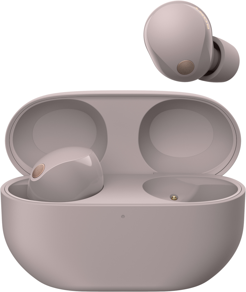 Sony Sony Wf1000xm5p.ce7 Smoky Pink Oordopjes Roze