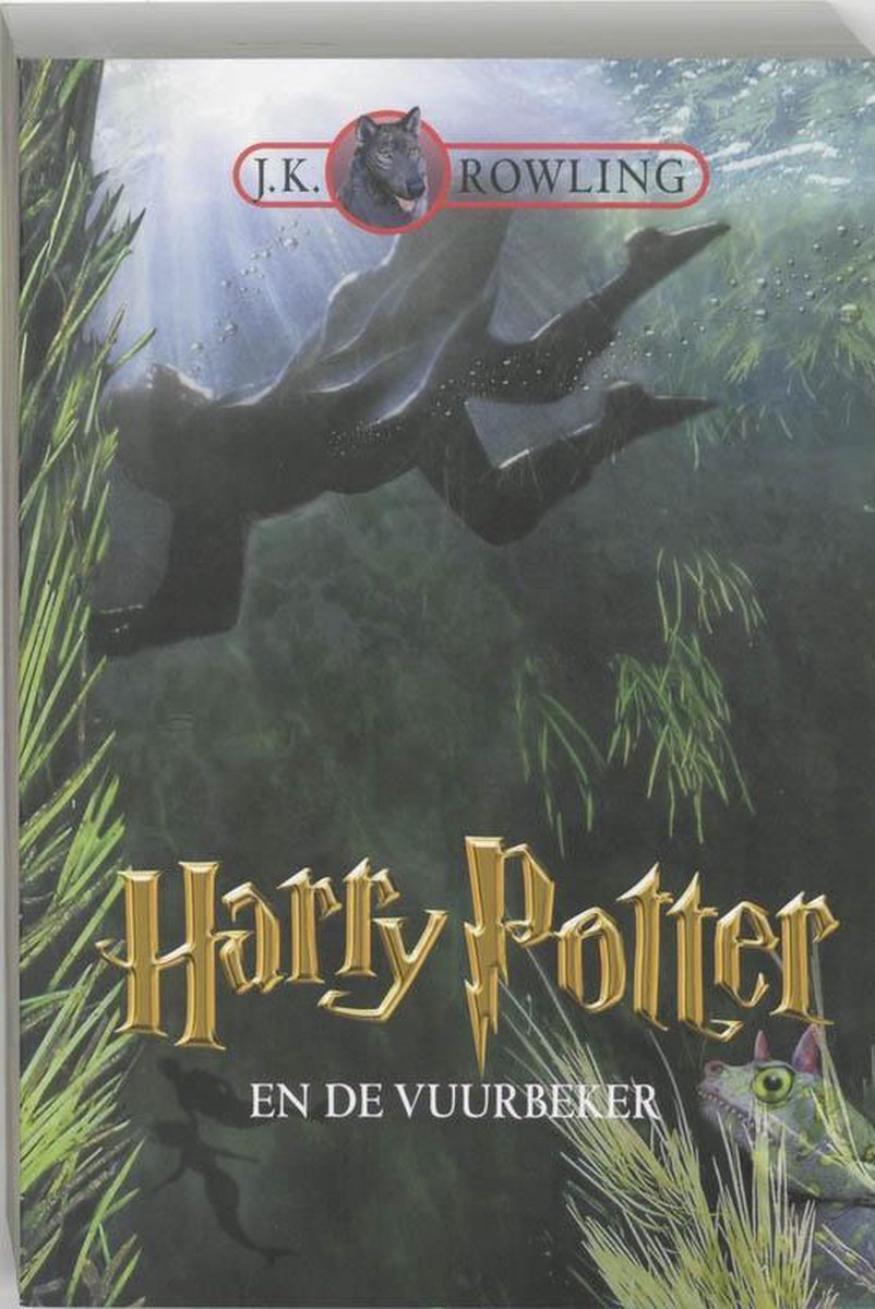 Harry Potter en de vuurbeker (deel 4)