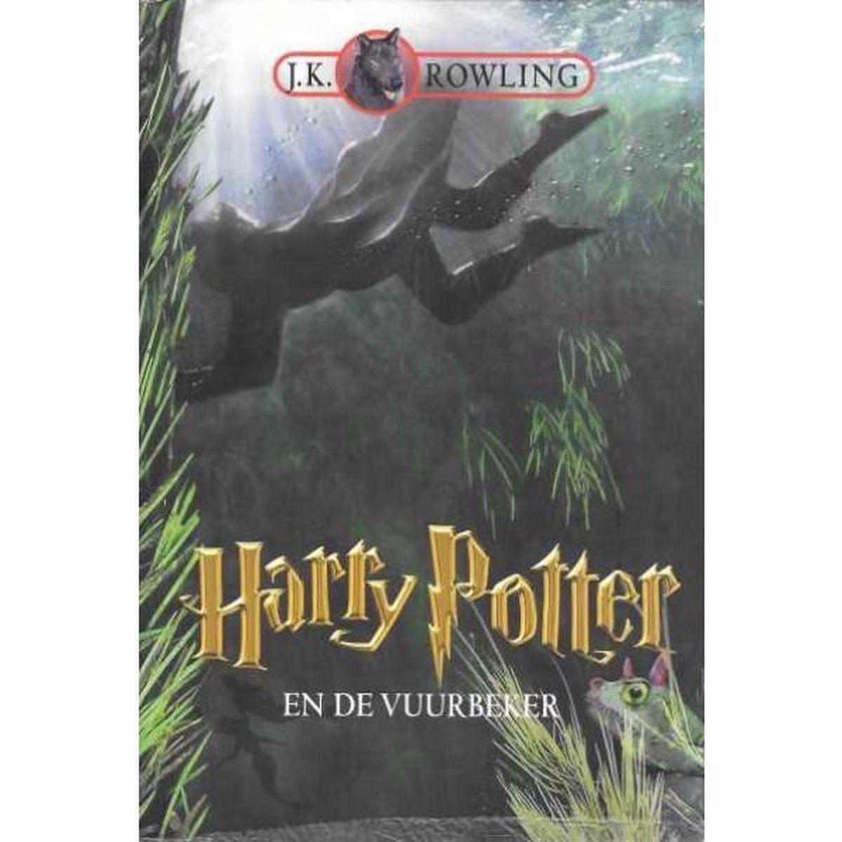 Harry Potter en de vuurbeker (deel 4)