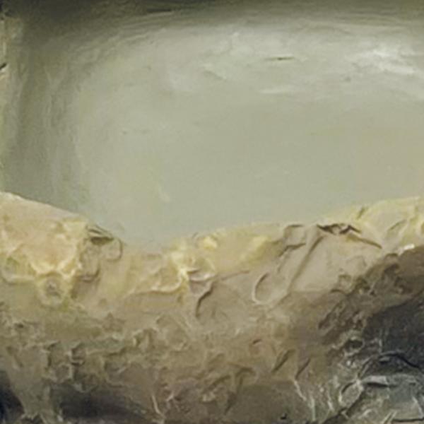 Repto Aquadistri deco waterschaal s Repto Aquadistri - Aquadistri