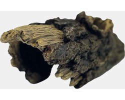 Repto Aquadistri deco wood home m Repto Aquadistri - Aquadistri