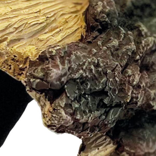 Repto Aquadistri deco wood home l Repto Aquadistri - Aquadistri