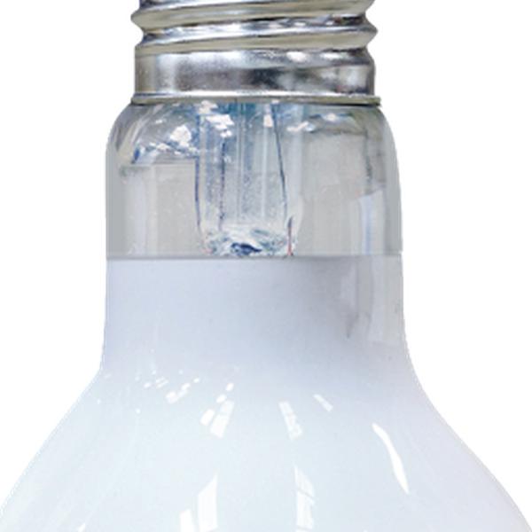 Arcadia Aquadistri solar basking floodlight 50 watt Arcadia Aquadistri - Aquadistri