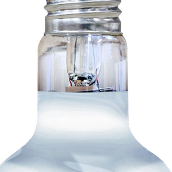 Arcadia Aquadistri solar basking spotlight 75 watt Arcadia Aquadistri - Aquadistri