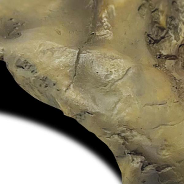 Repto Aquadistri deco cave m Repto Aquadistri - Aquadistri