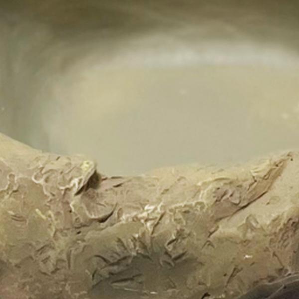 Repto Aquadistri deco waterschaal m Repto Aquadistri - Aquadistri