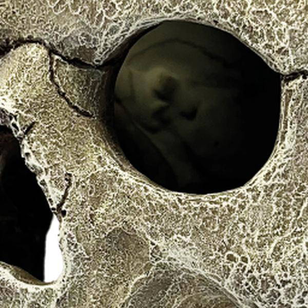 Repto Aquadistri deco human skull xl Repto Aquadistri - Aquadistri